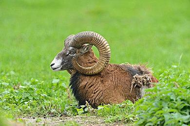 《无常幻境》众筹开启 前《上古卷轴》开发者奇幻RPG新作